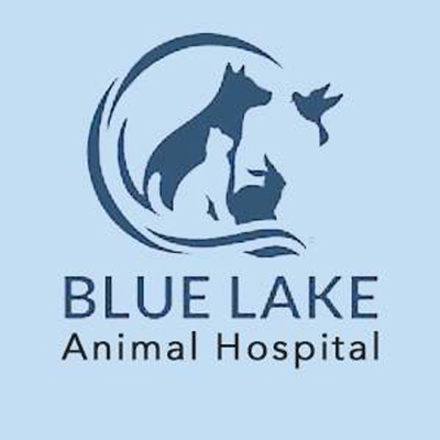 Beauty and Natural Hair Professionals Blue Lake Animal Hospital in Caledonia MI